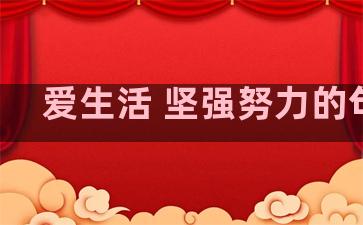 爱生活 坚强努力的句子